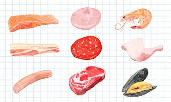 Hand drawn meat product watercolor style | Free stock vector - 393065