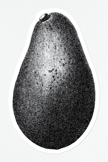 Hand drawn monotone avocado fruit sticker with a white border | Free  illustration - 2354496