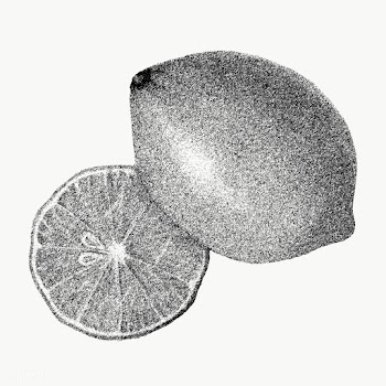 Hand drawn monotone lemon fruit design element | Free  transparent png - 2354494