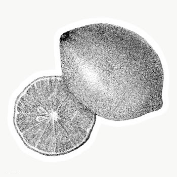 Hand drawn monotone lemon fruit sticker with a white border | Free  transparent png - 2354465
