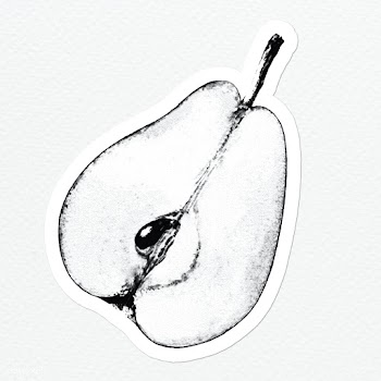 Hand drawn monotone pear fruit sticker with a white border | Free  illustration - 2354457