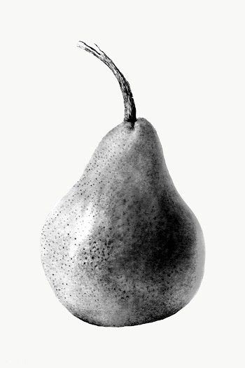Hand drawn monotone pear sticker design element | Free  transparent png - 2349825
