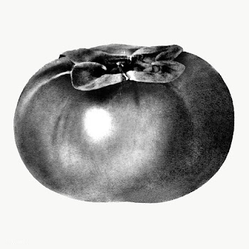 Hand drawn monotone persimmon sticker design element | Free  transparent png - 2350135
