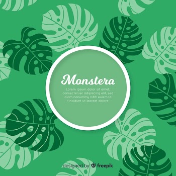 Hand drawn monstera background