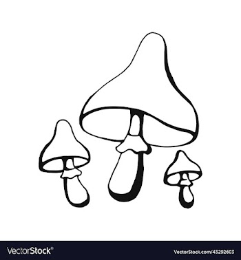 hand drawn mushroom outline line art style