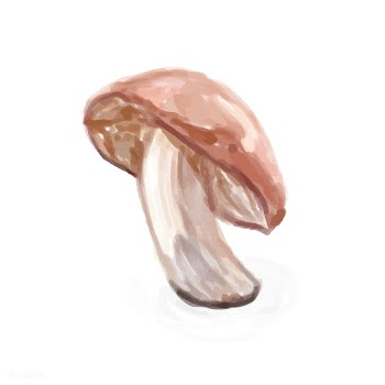 Hand drawn mushroom watercolor style | Free stock vector - 393153