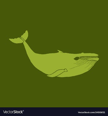 Hand drawn of humpback whale sketch detailed vector image