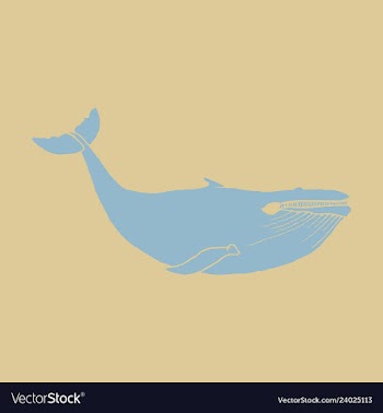 Hand drawn of humpback whale sketch detailed vector image