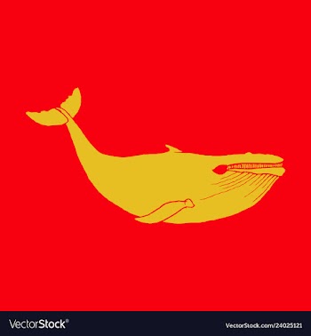Hand drawn of humpback whale sketch detailed vector image