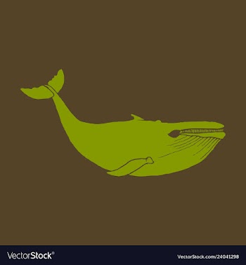 Hand drawn of humpback whale sketch detailed vector image