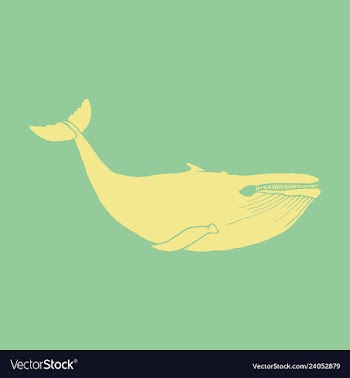 Hand drawn of humpback whale sketch detailed vector image