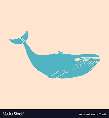 Hand drawn of humpback whale sketch detailed vector image