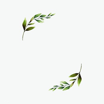 Hand-drawn olive branch frame watercolor styl.. | Free stock vector - 489356