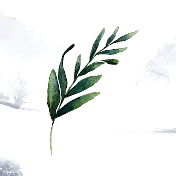 Hand drawn olive branch watercolor style vect.. | Free stock vector - 489174