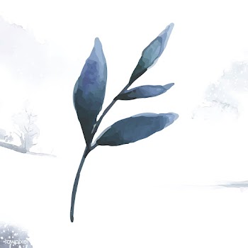 Hand drawn olive branch watercolor style vect.. | Free stock vector - 489204