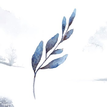 Hand drawn olive branch watercolor style vect.. | Free stock vector - 489243