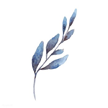 Hand drawn olive branch watercolor style vect.. | Free stock vector - 489254
