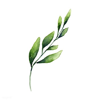 Hand drawn olive branch watercolor style vect.. | Free stock vector - 489330