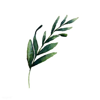 Hand drawn olive branch watercolor style vect.. | Free stock vector - 489345