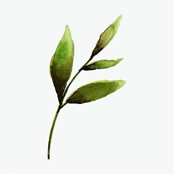 Hand drawn olive branch watercolor style vect.. | Free stock vector - 489358