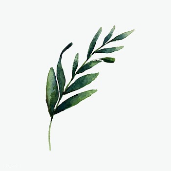 Hand drawn olive branch watercolor style vect.. | Free stock vector - 489359