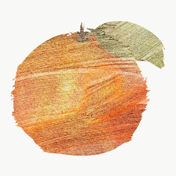 Hand drawn orange brush stroke style design element | Free  transparent png - 2342888