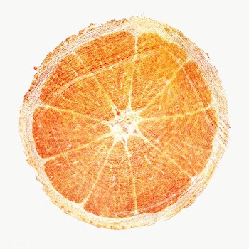 Hand drawn orange brush stroke style sticker overlay | Free  transparent png - 2346730