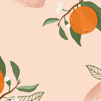 Hand drawn orange fruit branch frame design illustration | Free  illustration - 2330670