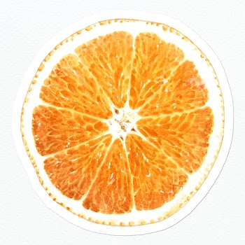 Hand drawn orange sticker overlay with a white border | Free  illustration - 2346736