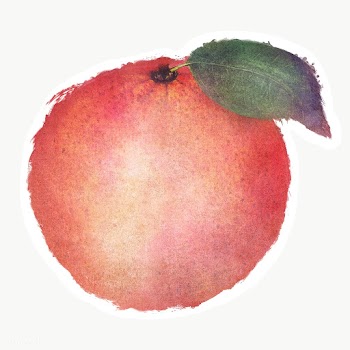 Hand drawn orange watercolor style sticker with white border | Free  transparent png - 2344323