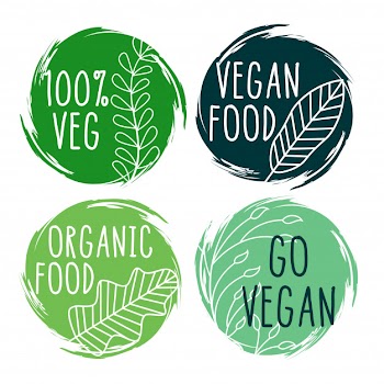 Hand drawn organic vegan food labels and symbols Free Vector