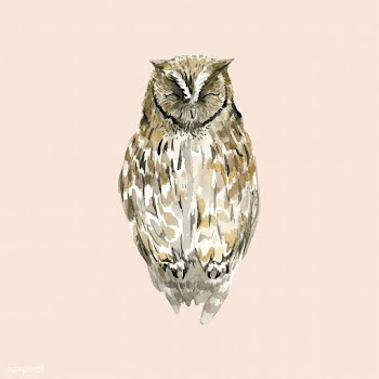 Hand-drawn owl watercolor style vector | Free stock vector - 489405