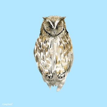 Hand-drawn owl watercolor style vector | Free stock vector - 489437