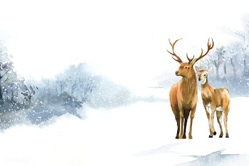 Hand-drawn pair of deer in a winter landscape.. | Free stock vector - 489463