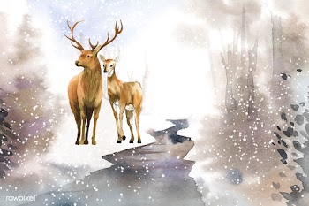 Hand-drawn pair of deer in a winter landscape.. | Free stock vector - 489714