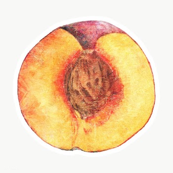 Hand drawn peach acrylic style sticker overlay with a white border | Free  transparent png - 2347594