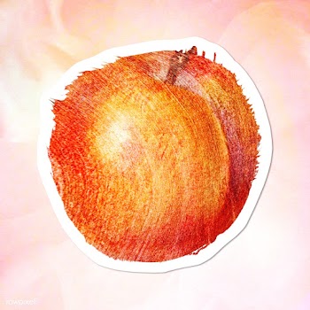 Hand drawn peach brush stroke style sticker overlay with a white borde.. | Free  illustration - 2346244