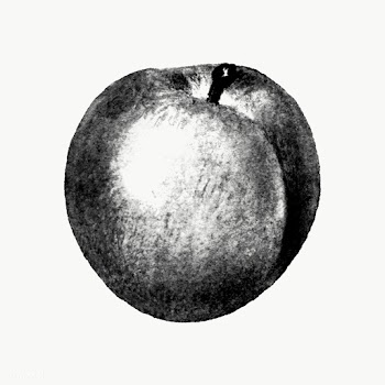 Hand drawn peach sticker overlay | Free  transparent png - 2346241