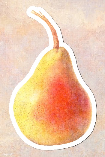Hand drawn pear acrylic style sticker overlay with a white border | Free  illustration - 2347006