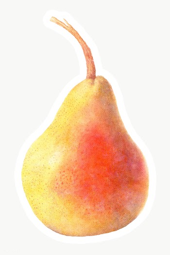 Hand drawn pear acrylic style sticker overlay with a white border | Free  transparent png - 2347010