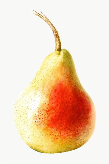 Hand drawn pear sticker design element | Free  transparent png - 2349838