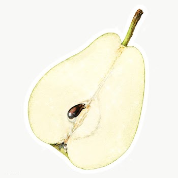 Hand drawn pear sticker design element with white border | Free  transparent png - 2346161