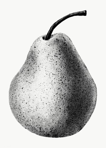 Hand drawn pear sticker overlay | Free  transparent png - 2341350