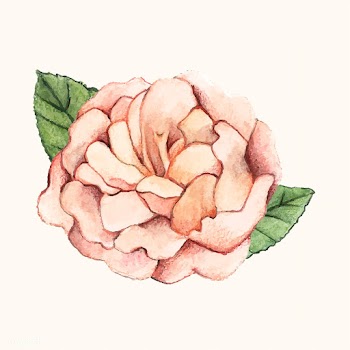 Hand drawn peony flower isolated | Free stock vector - 399565