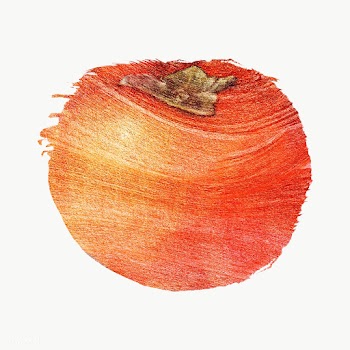 Hand drawn persimmon brush stroke style sticker overlay | Free  transparent png - 2346240