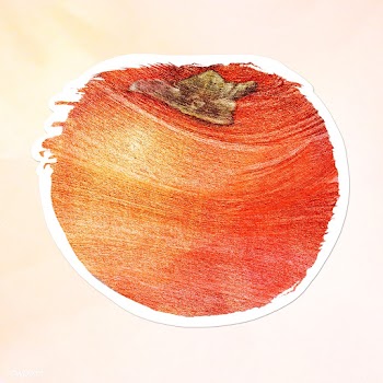 Hand drawn persimmon brush stroke style sticker overlay with a white b.. | Free  illustration - 2346247