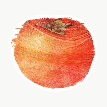 Hand drawn persimmon brush stroke style sticker overlay with a white b.. | Free  transparent png - 2346228