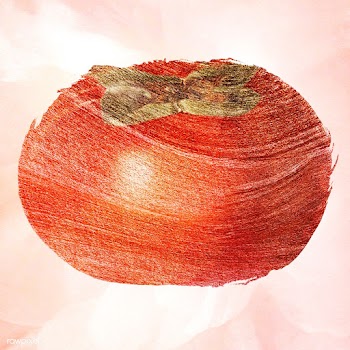 Hand drawn persimmon design element | Free  illustration - 2350130