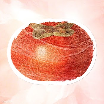 Hand drawn persimmon sticker design element | Free  illustration - 2350125