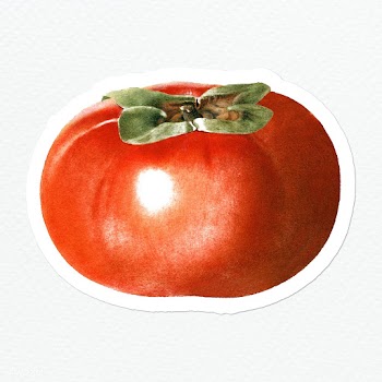 Hand drawn persimmon sticker design element | Free  illustration - 2350128